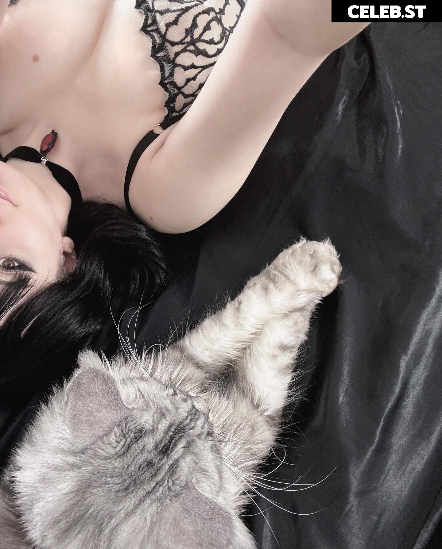 epicinternetgf Image 10014346