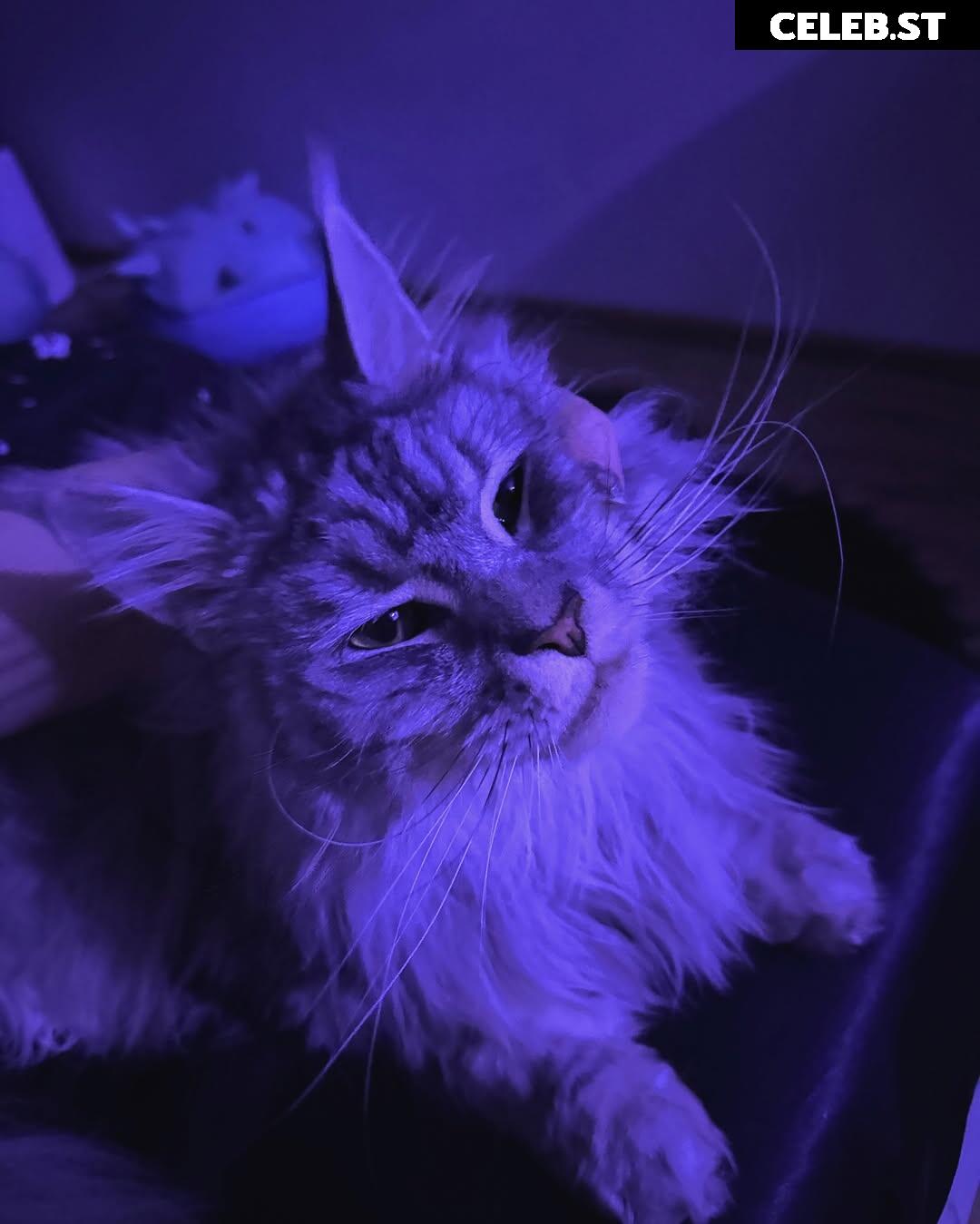 epicinternetgf Image 10014289