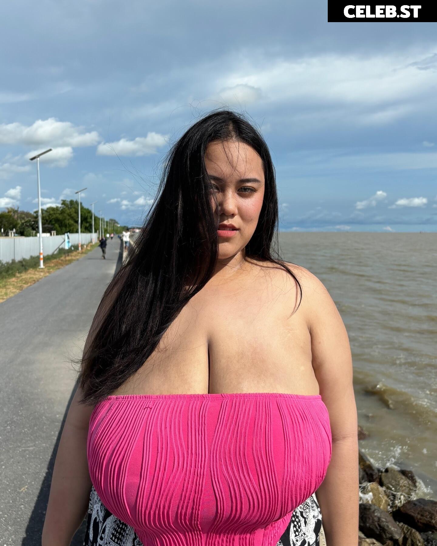 fhong_fionax / Chayada Dulyasatien (Busty Thai Model) Image 10016991