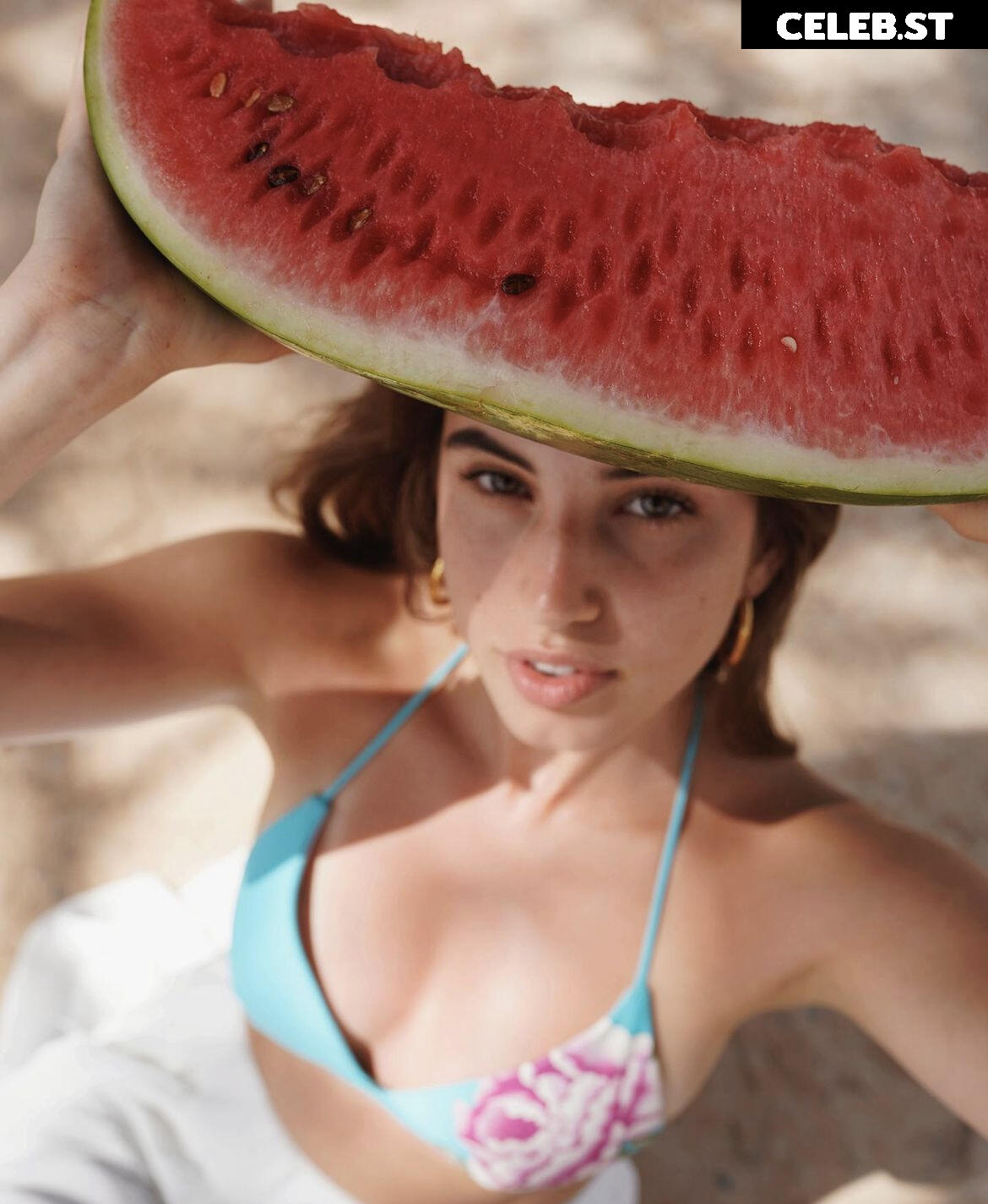 Yonca Image 1002886