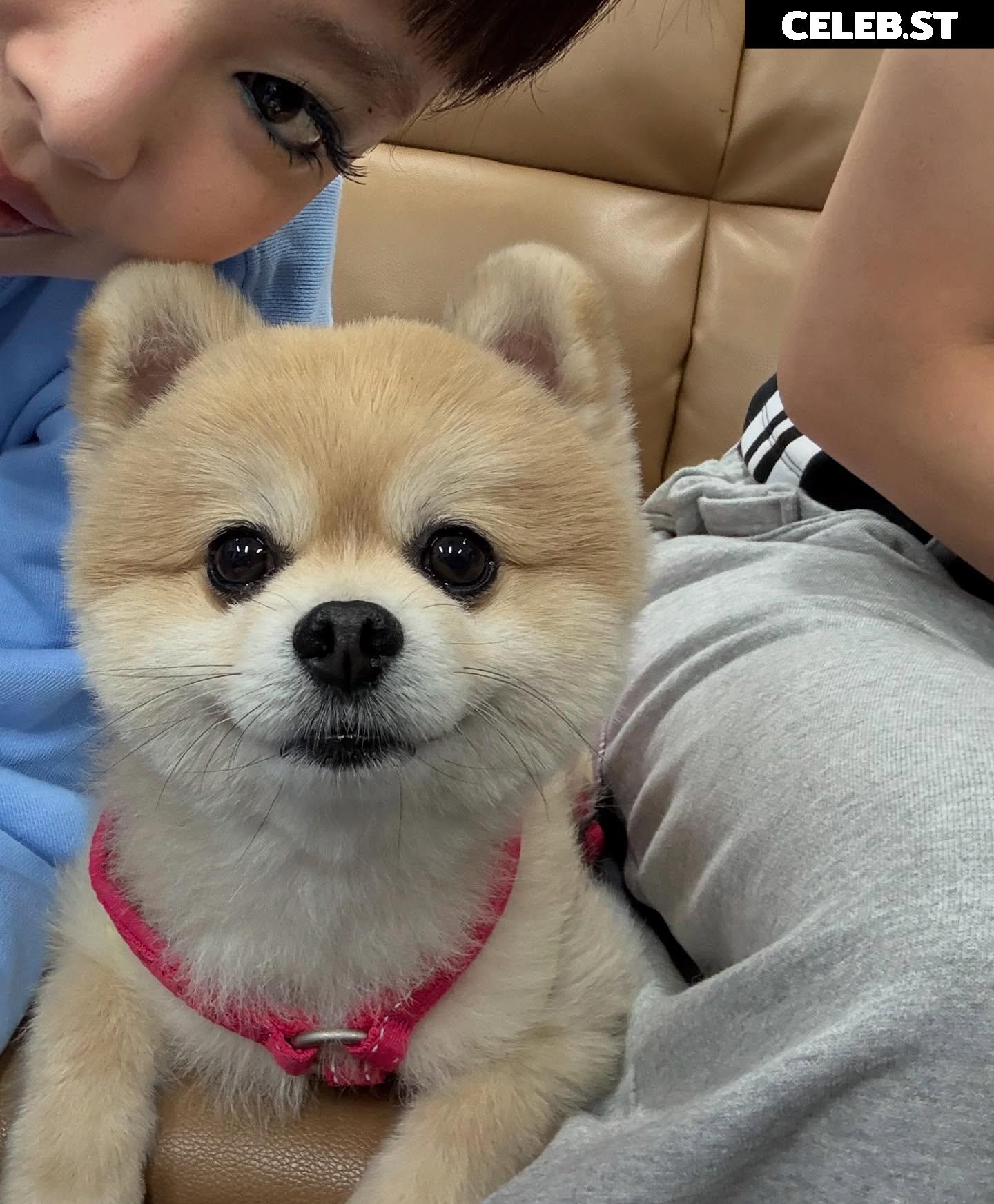 Jennie | BLΛƆKPIИK (Blackpink) Image 10026125