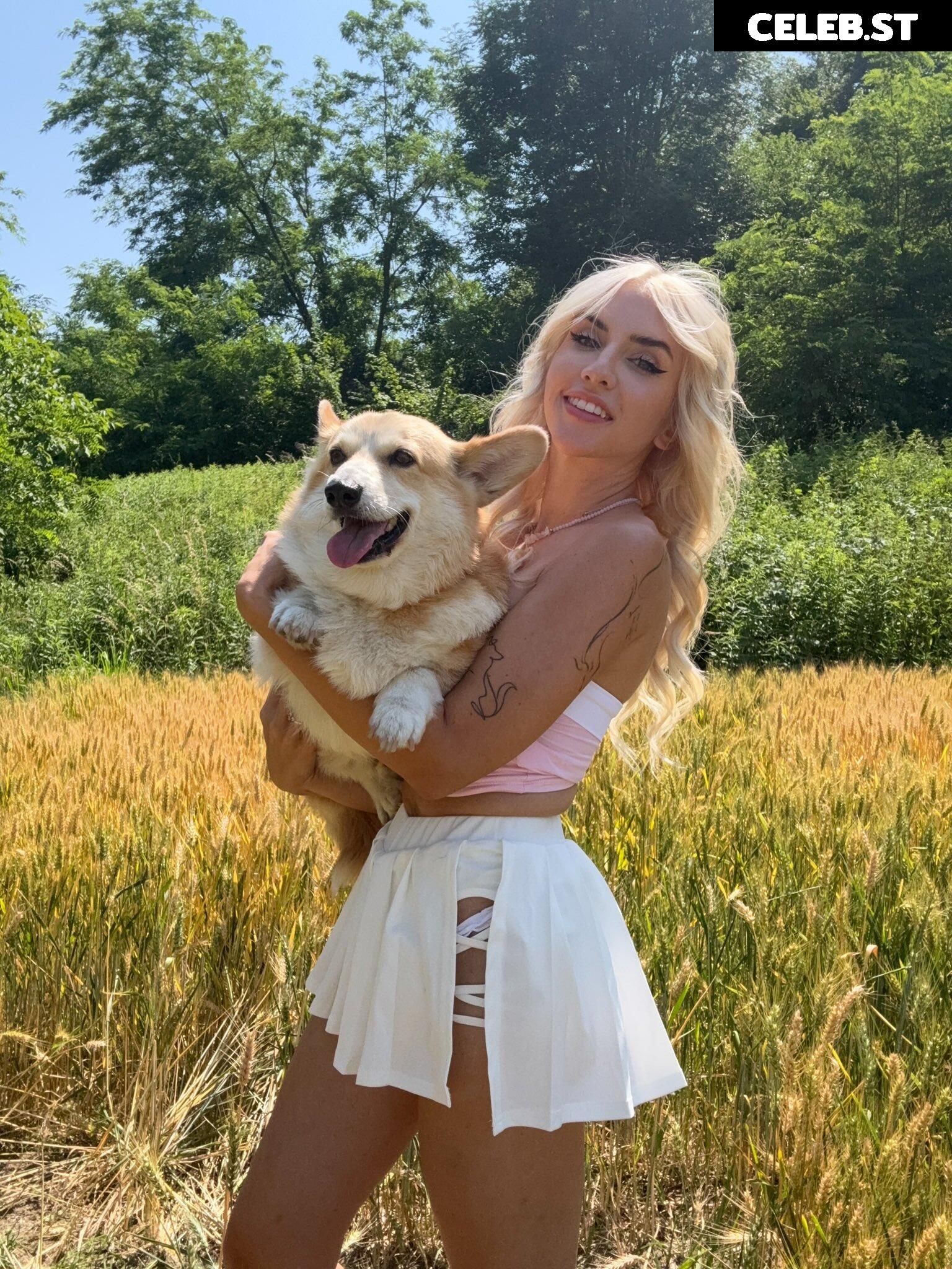 collieesi / colleesi11 / collie_twitch Image 10023973