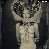 Inga Lis | inga_lis | Sowa_666 Image 10038113