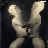 Inga Lis | inga_lis | Sowa_666 Image 10038117