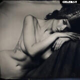 Inga Lis | inga_lis | Sowa_666 Image 10038025