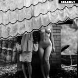 Inga Lis | inga_lis | Sowa_666 Image 10038035