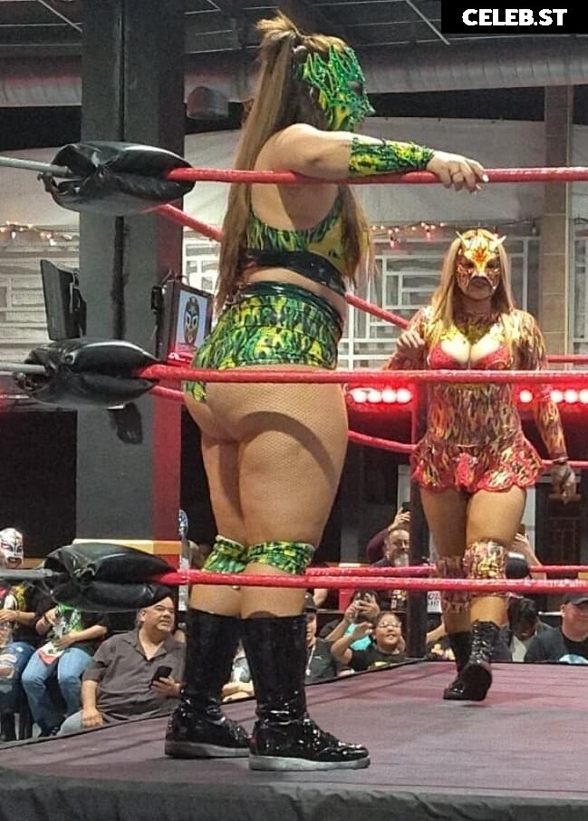 Women of Professional Wrestling Image 10036493
