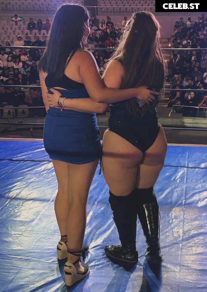 Women of Professional Wrestling Image 10036485