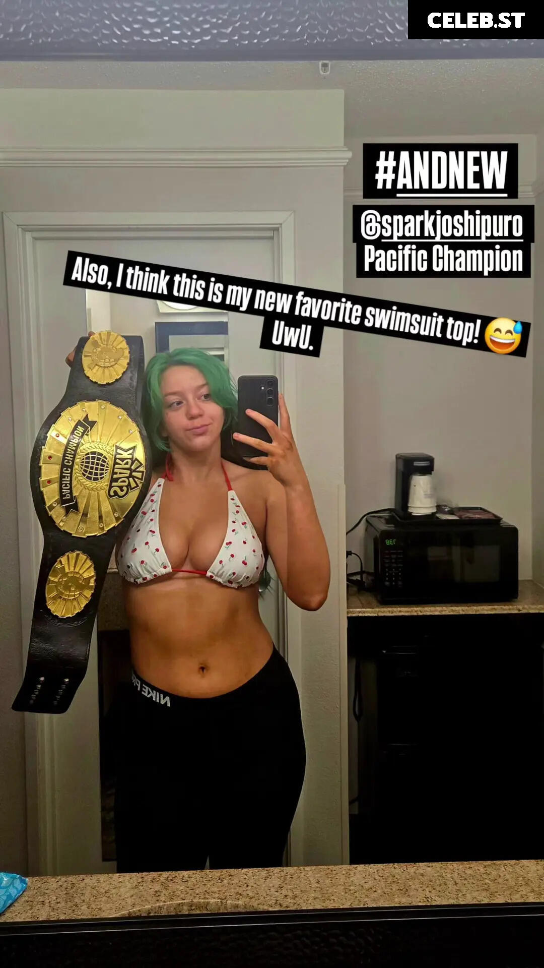 Women of Professional Wrestling Image 10036352