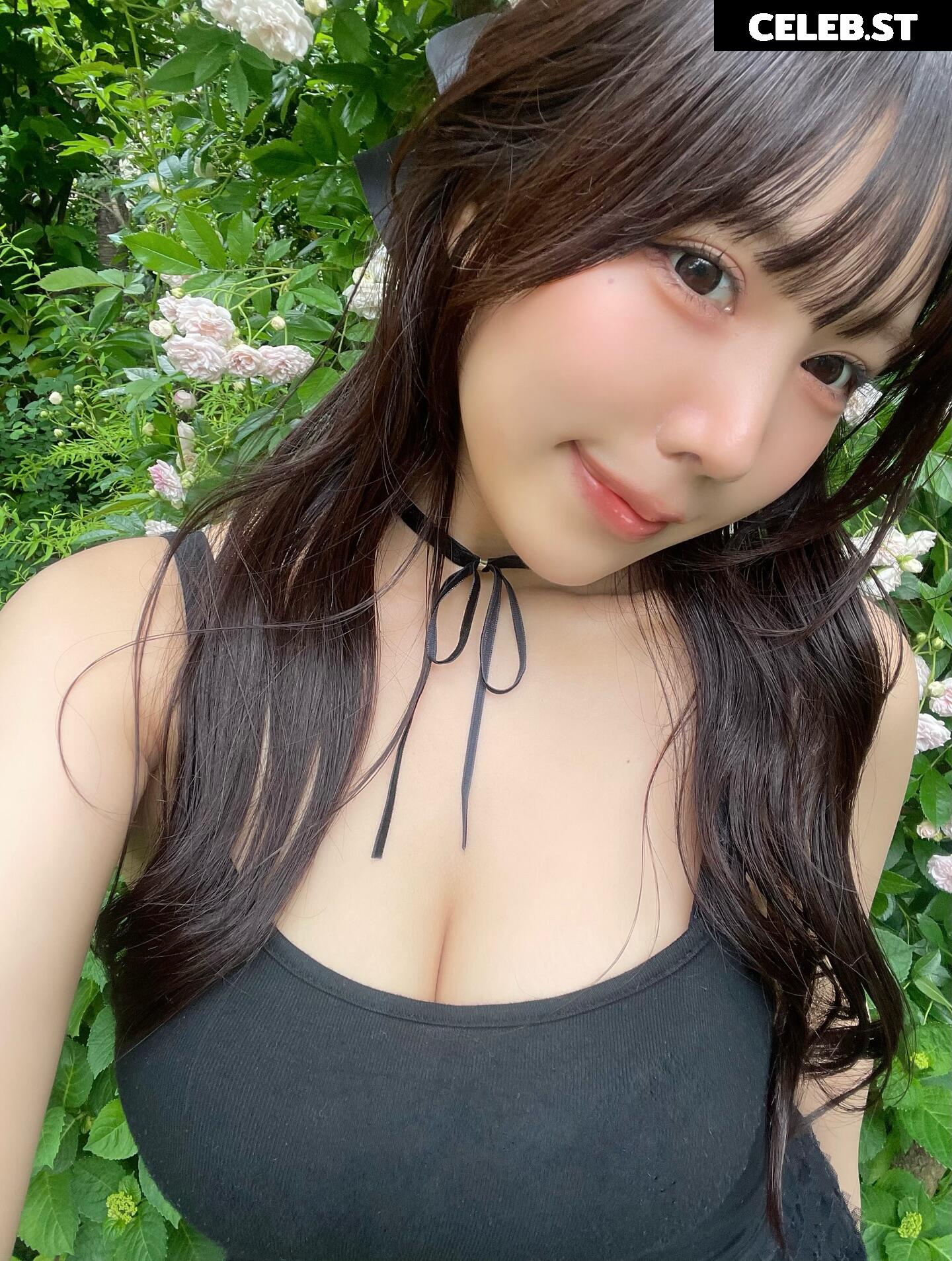 Towa Rabbit / Momoki_0515 Image 10091494