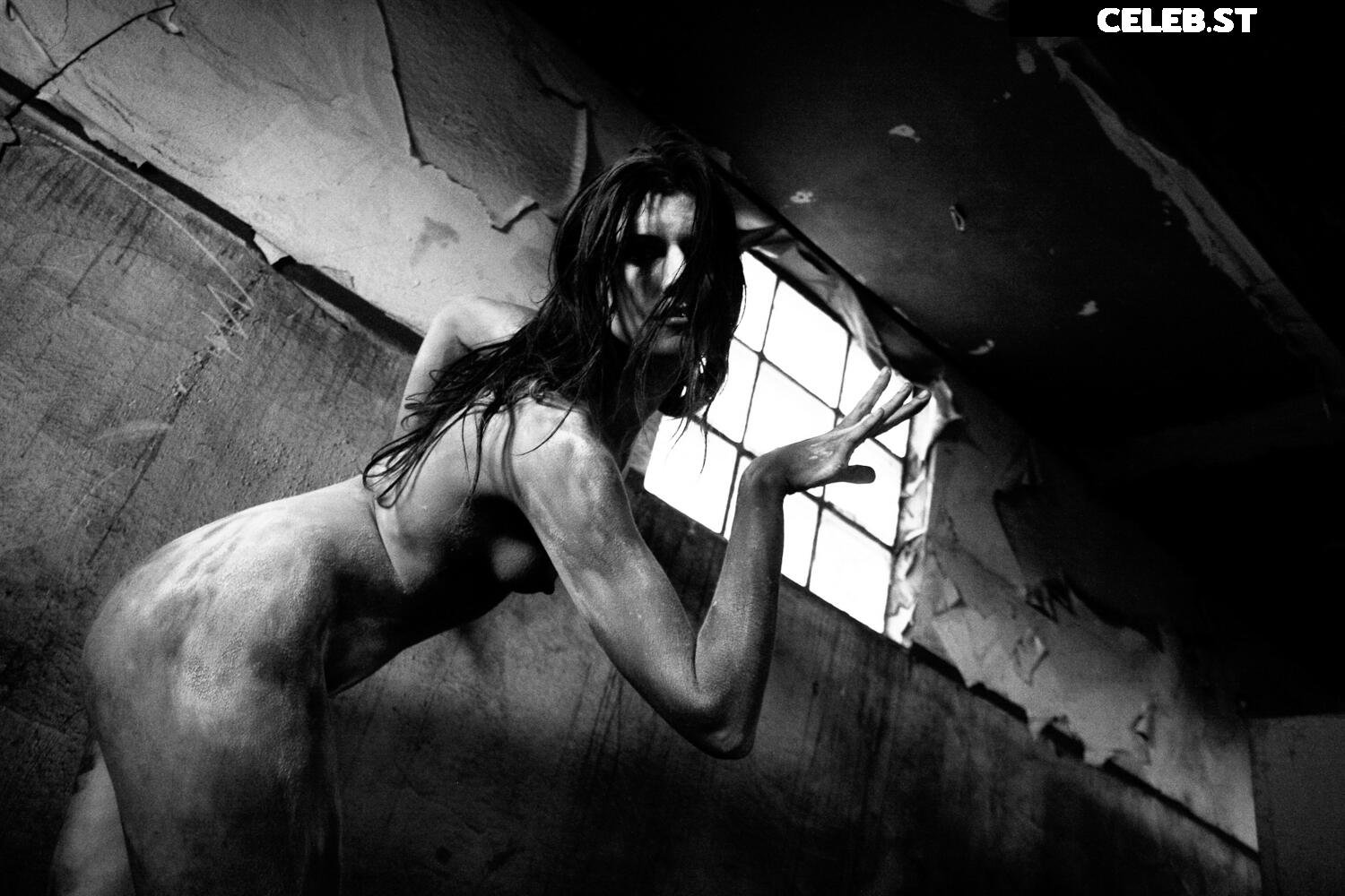 Calvato Photography - Patreon Image 3175379