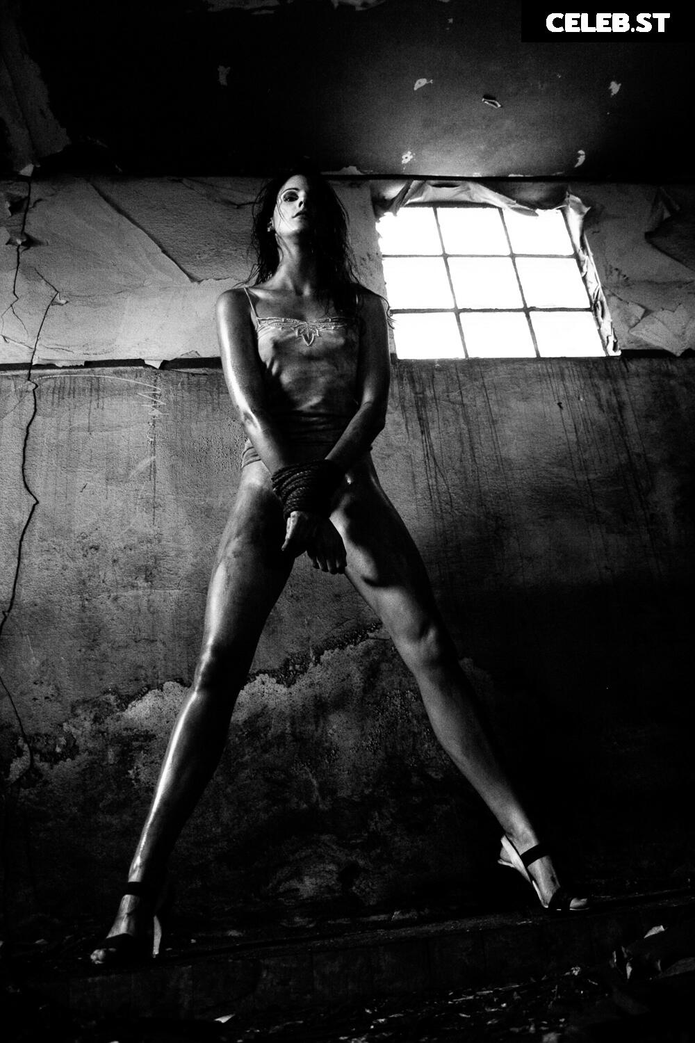 Calvato Photography - Patreon Image 3174456