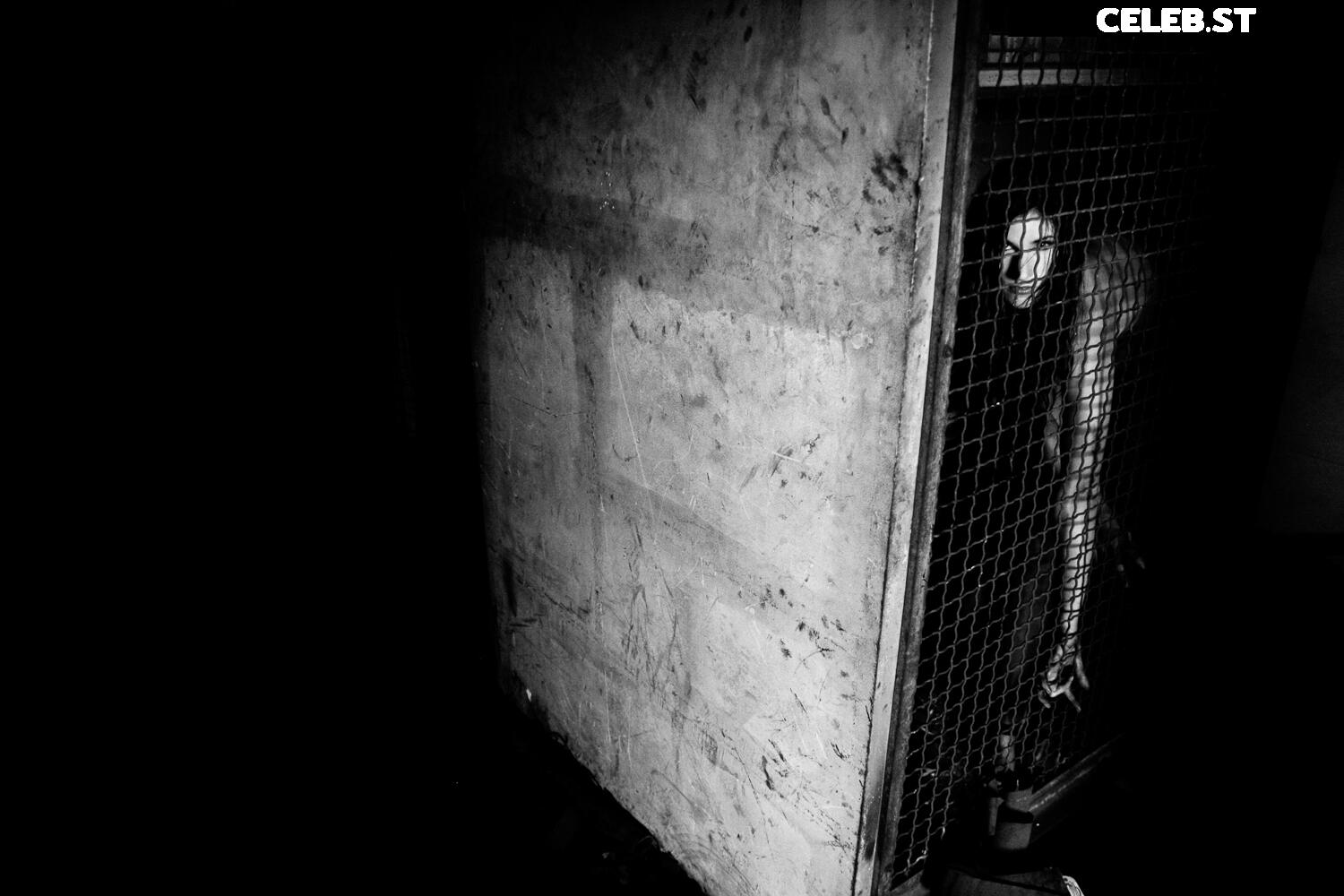 Calvato Photography - Patreon Image 3174093