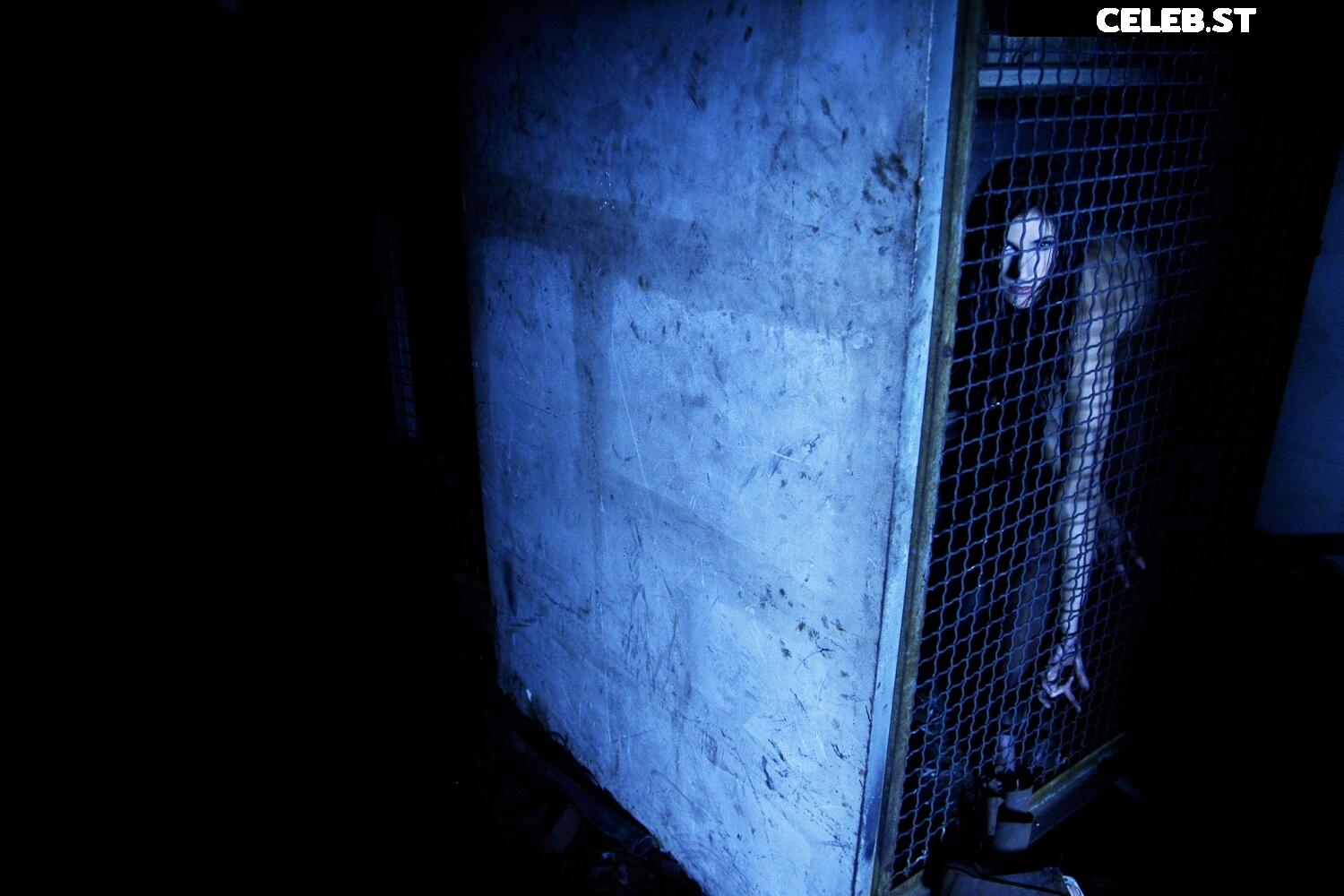 Calvato Photography - Patreon Image 3174085