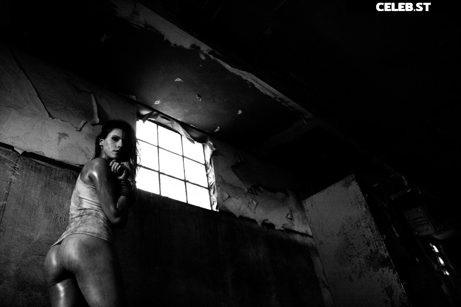 Calvato Photography - Patreon Image 3174321