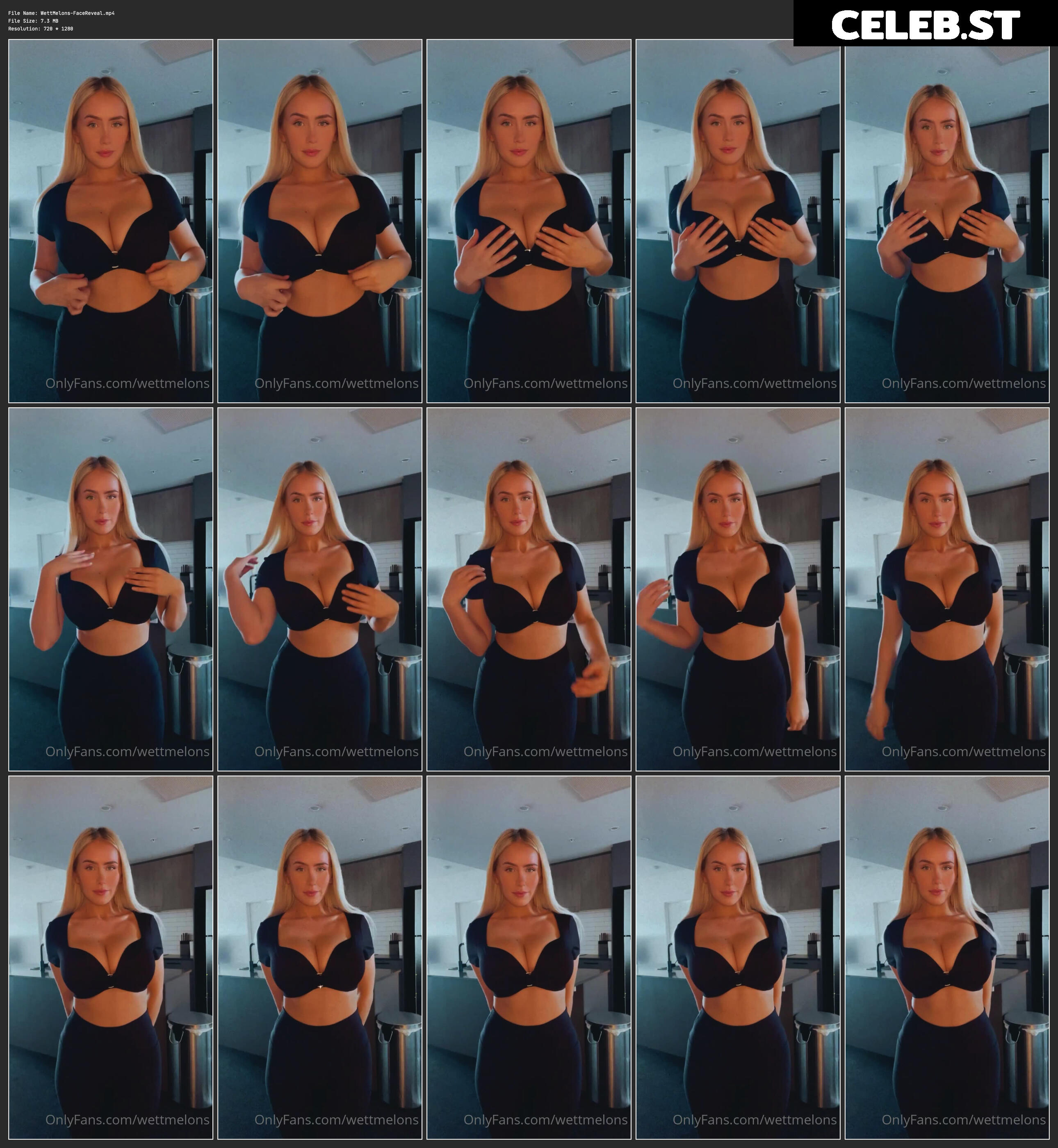 WettMelons Image 3173009