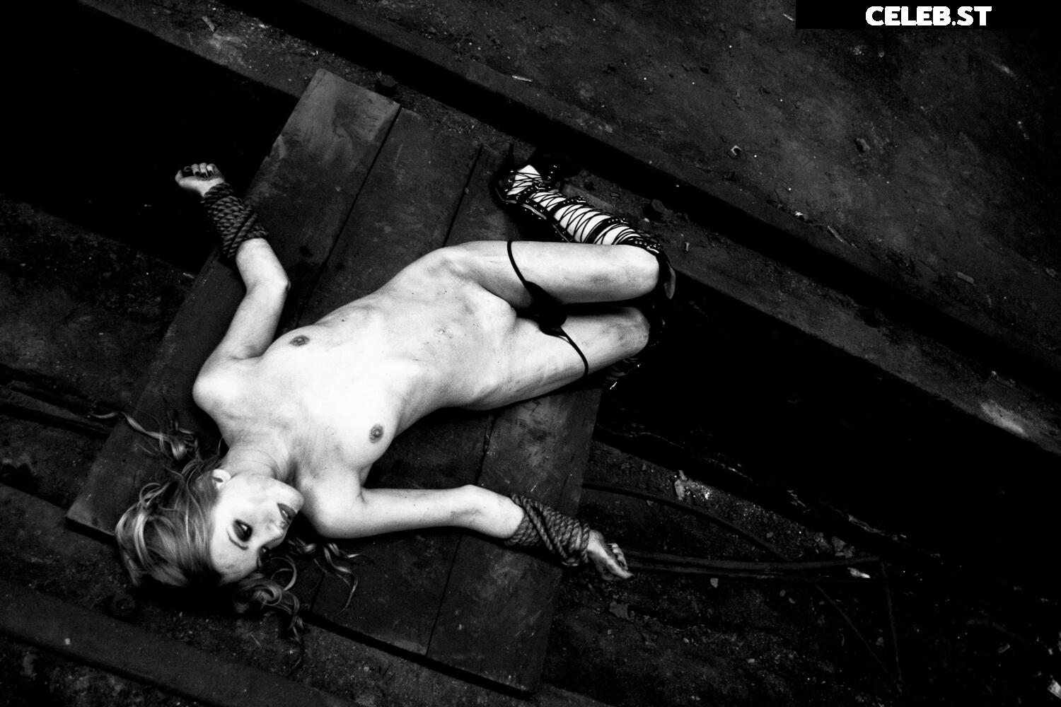 Calvato Photography - Patreon Image 3164638