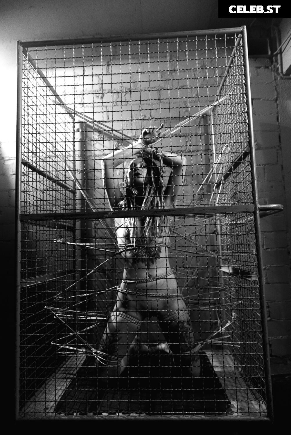Calvato Photography - Patreon Image 3155247