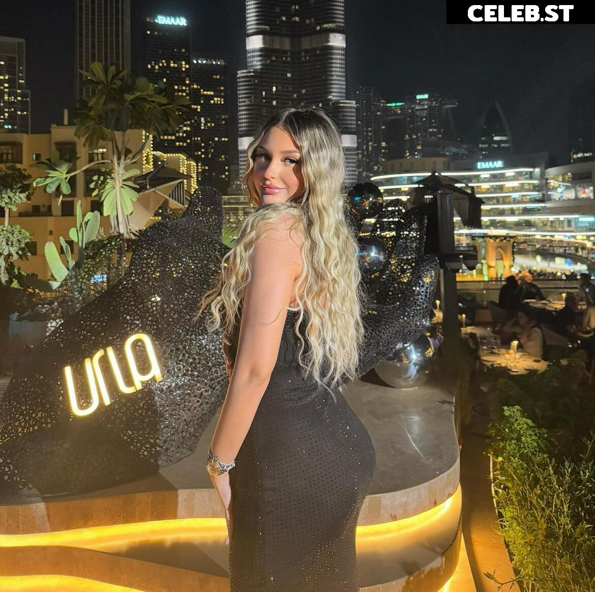 ema.mic Image 3156121