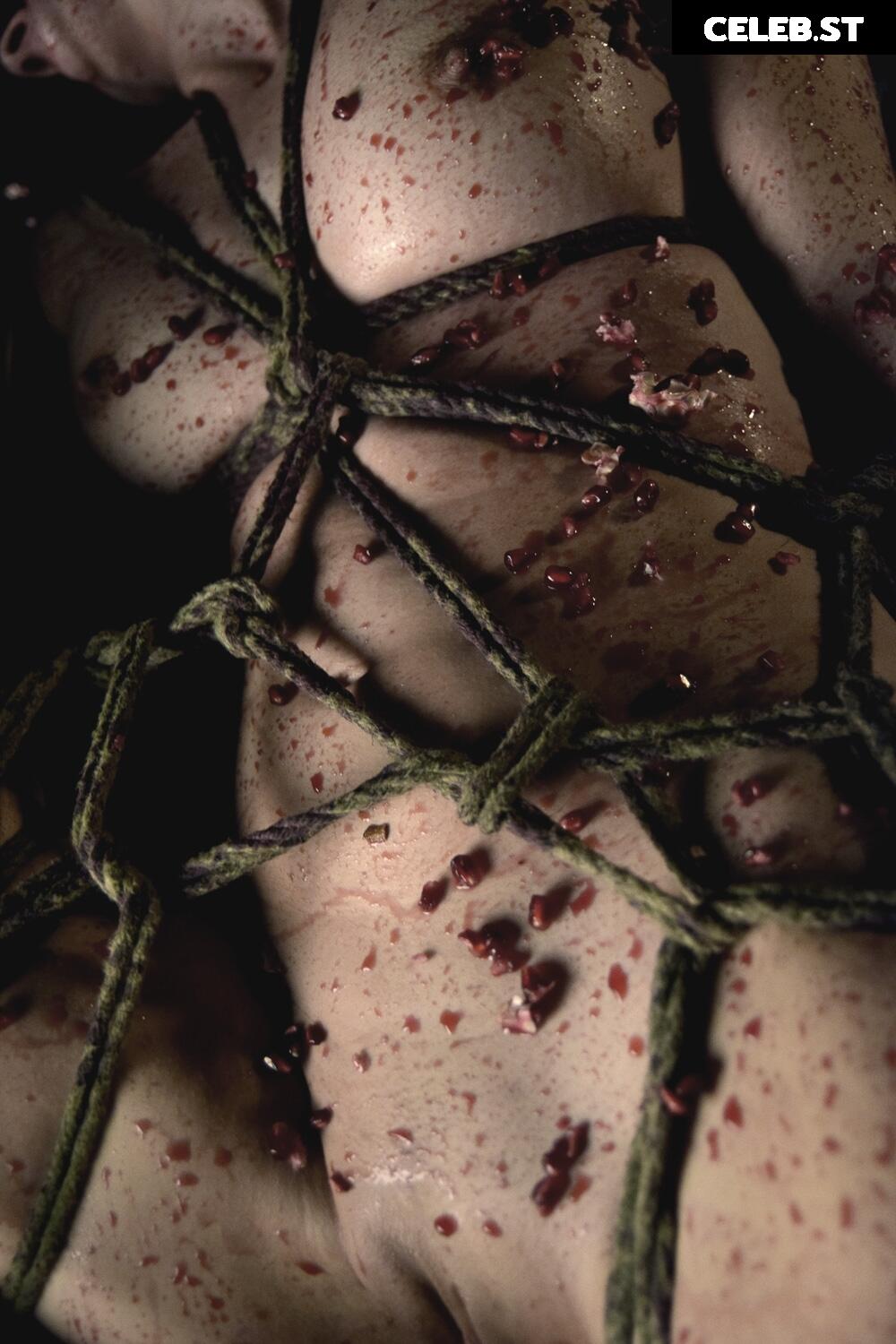 Calvato Photography - Patreon Image 3159326