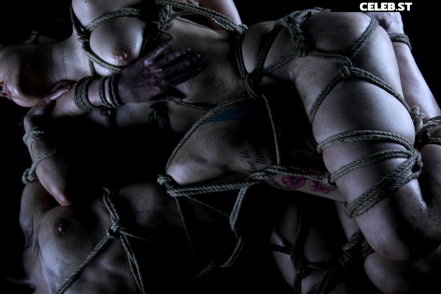 Calvato Photography - Patreon Image 3158218