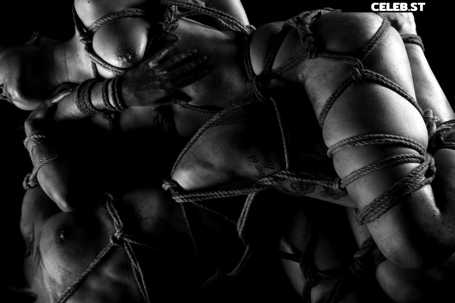 Calvato Photography - Patreon Image 3158238