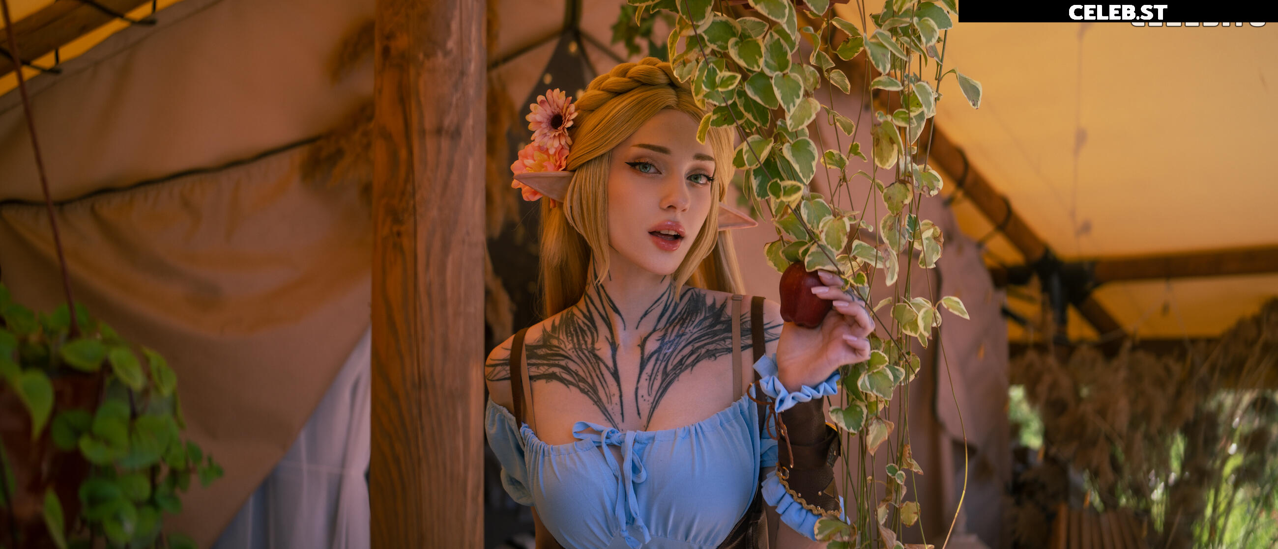 xenon_ne Image 3143231