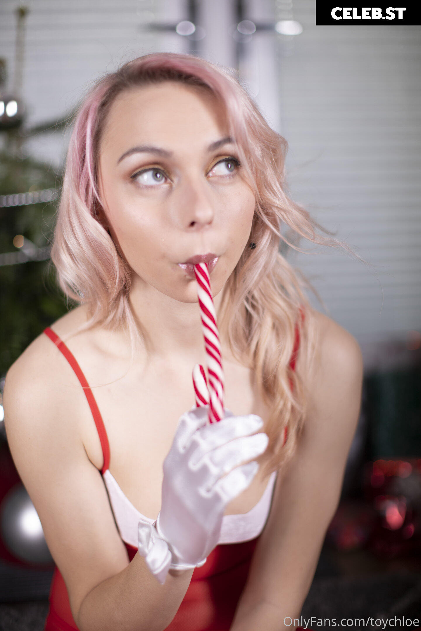 toychloe Image 314398