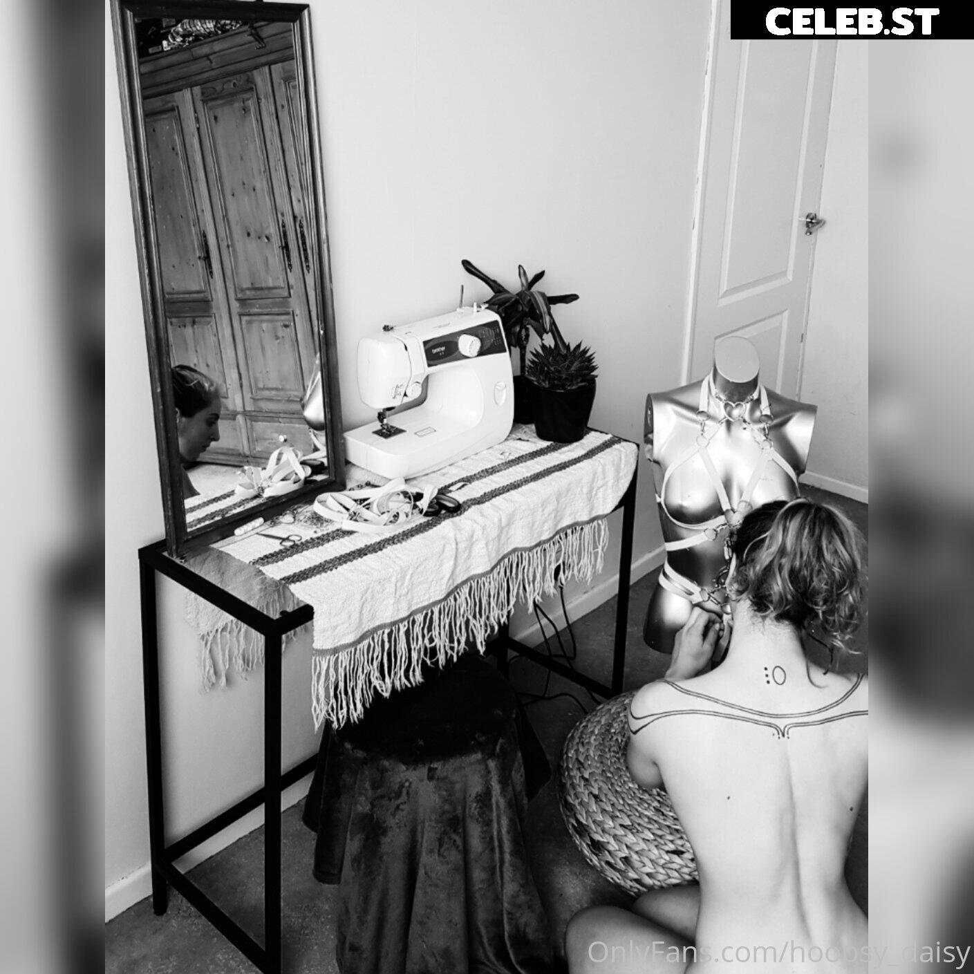 Hoopsy Daisy Image 3135088