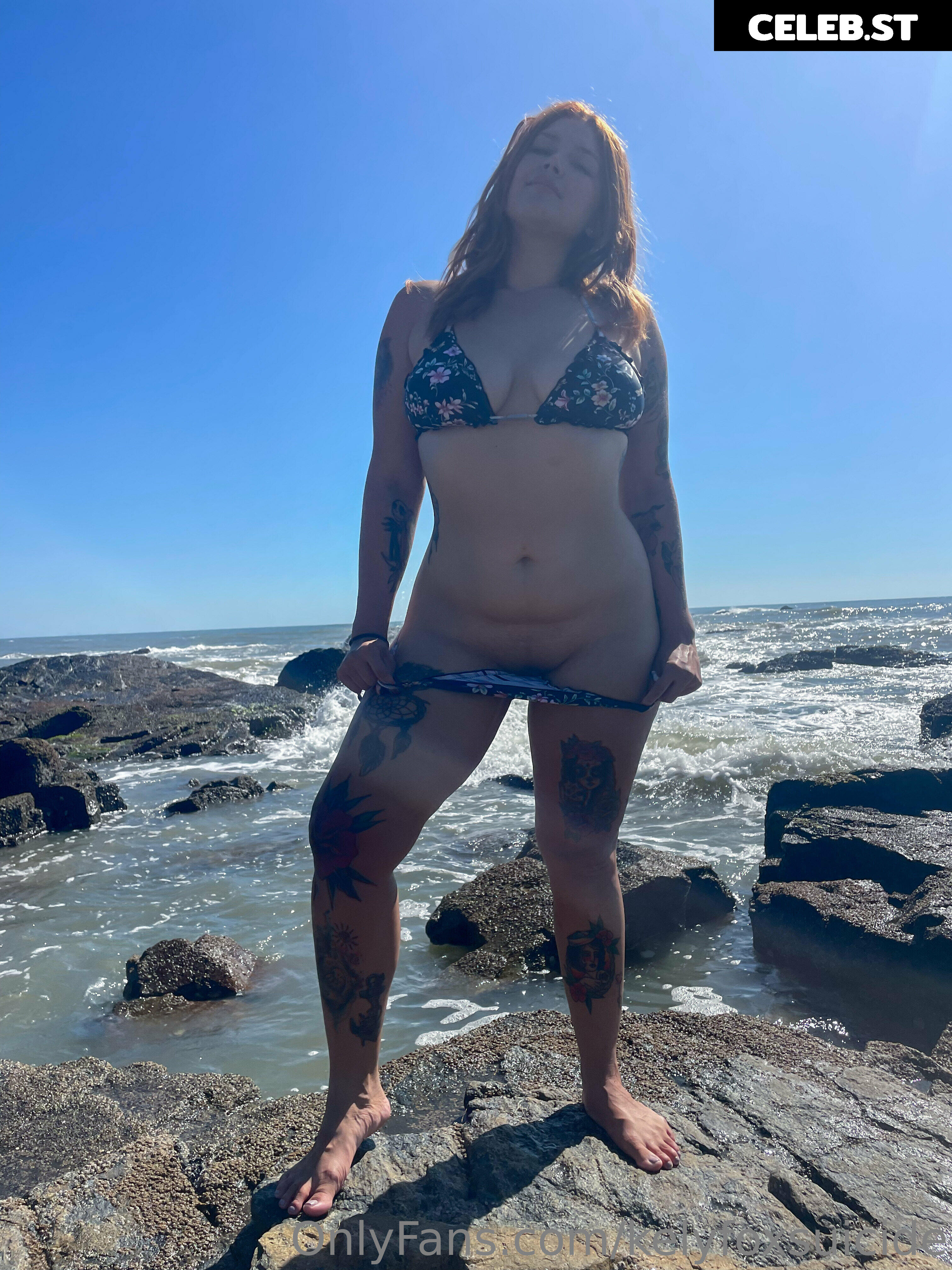 Kely fox Image 3136384