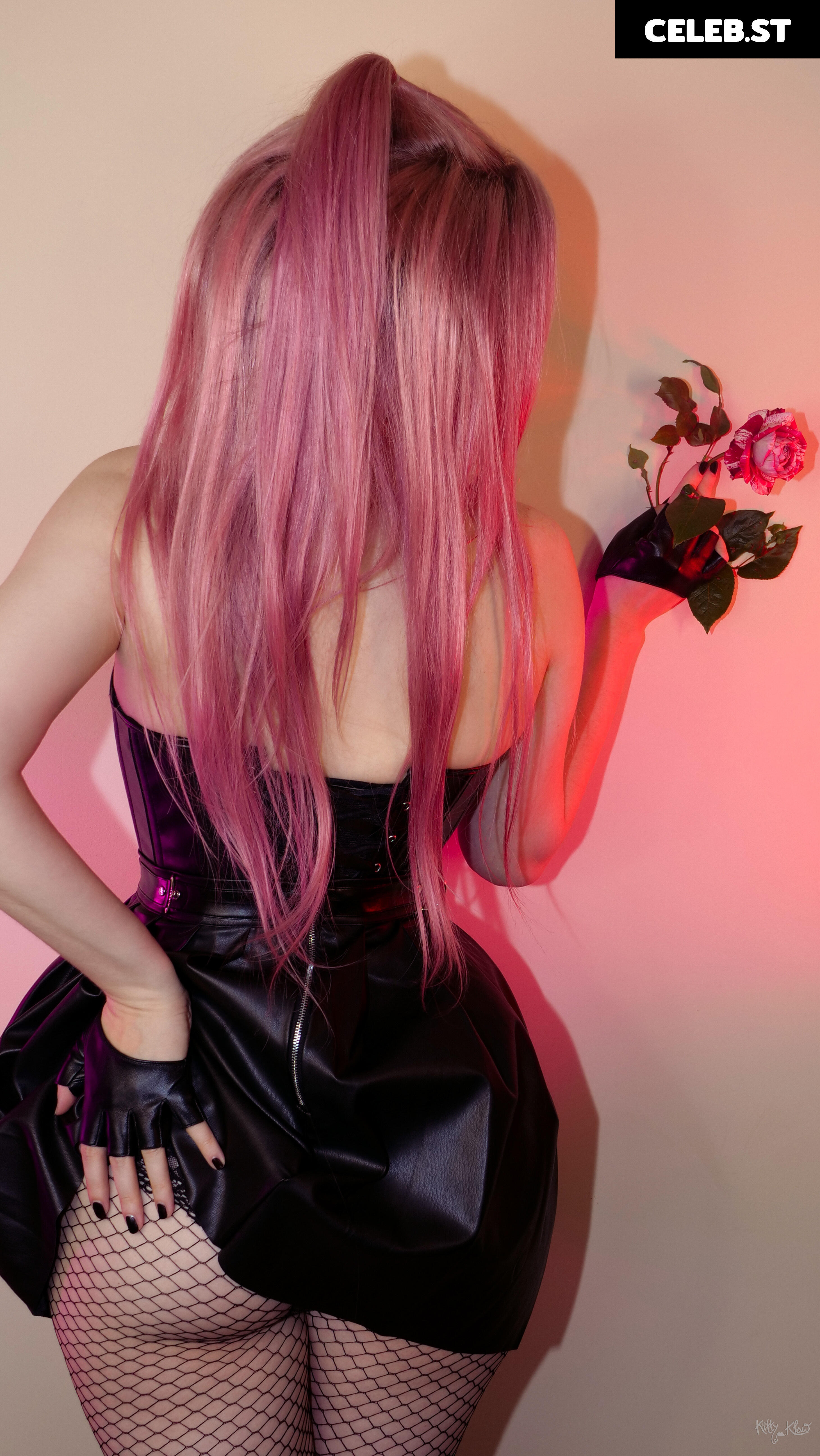 Kittyklaw Image 3139029