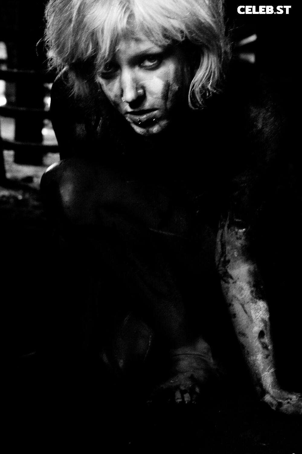 Calvato Photography - Patreon Image 3126204