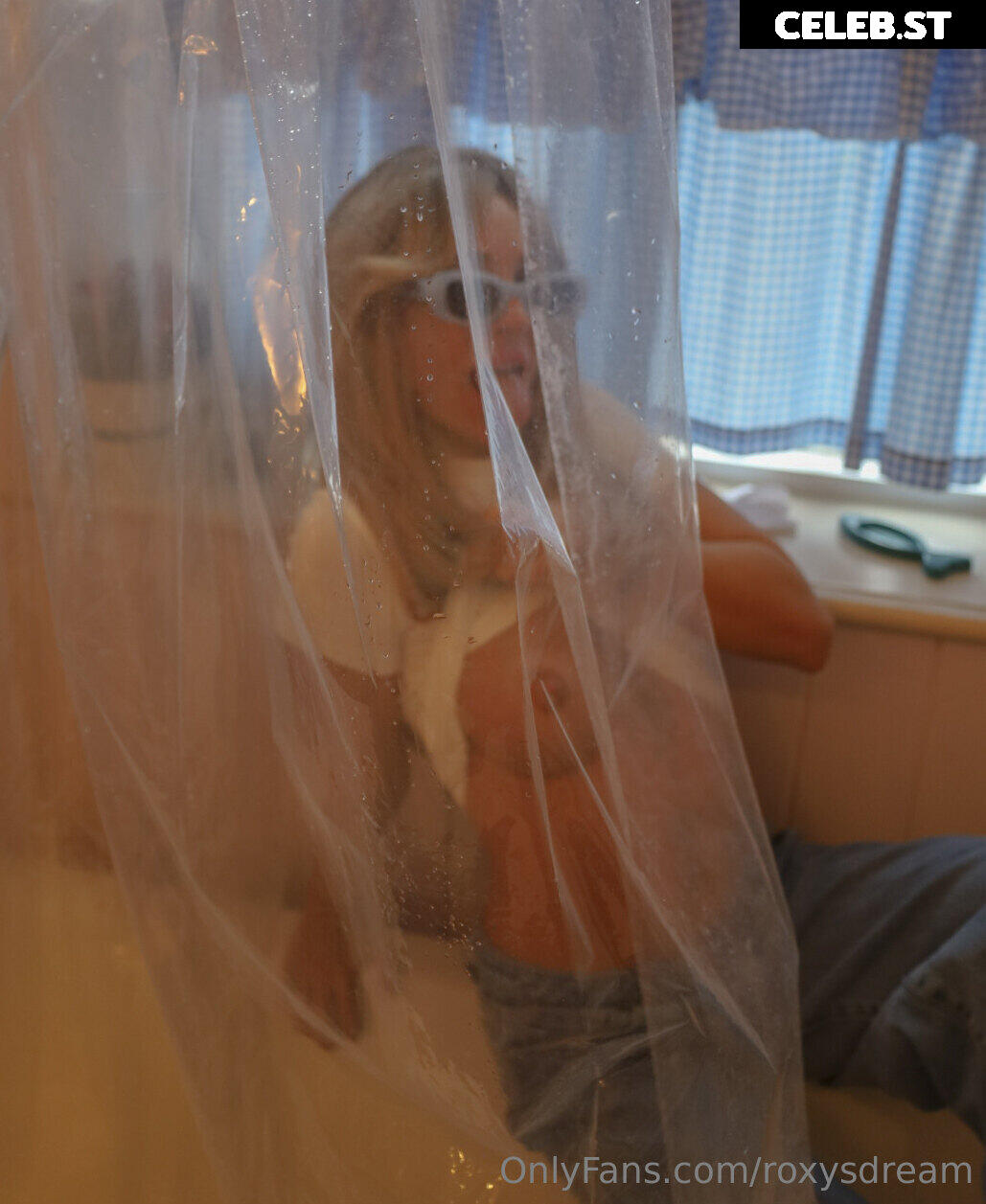 Roxy Fox Image 3129057