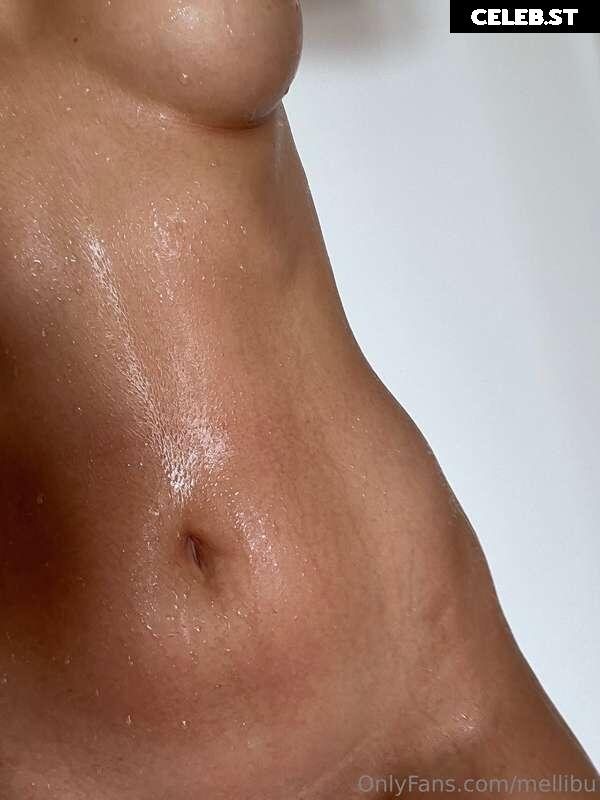 Mellii.bu Image 3129971