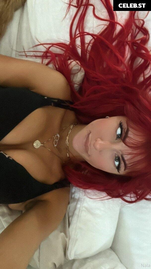 Nalafitness Image 3128426