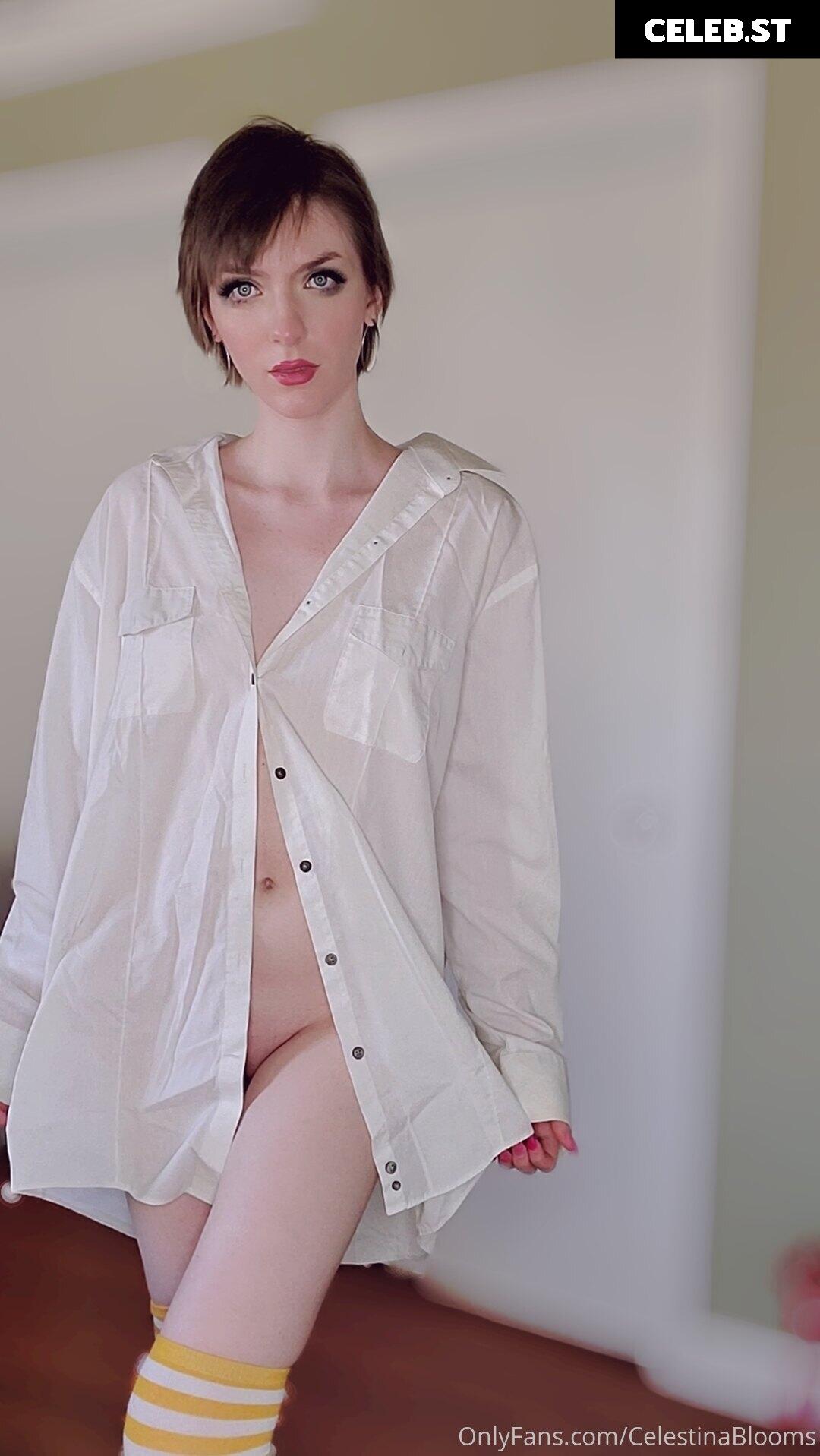 Celestina Blooms Image 3100201