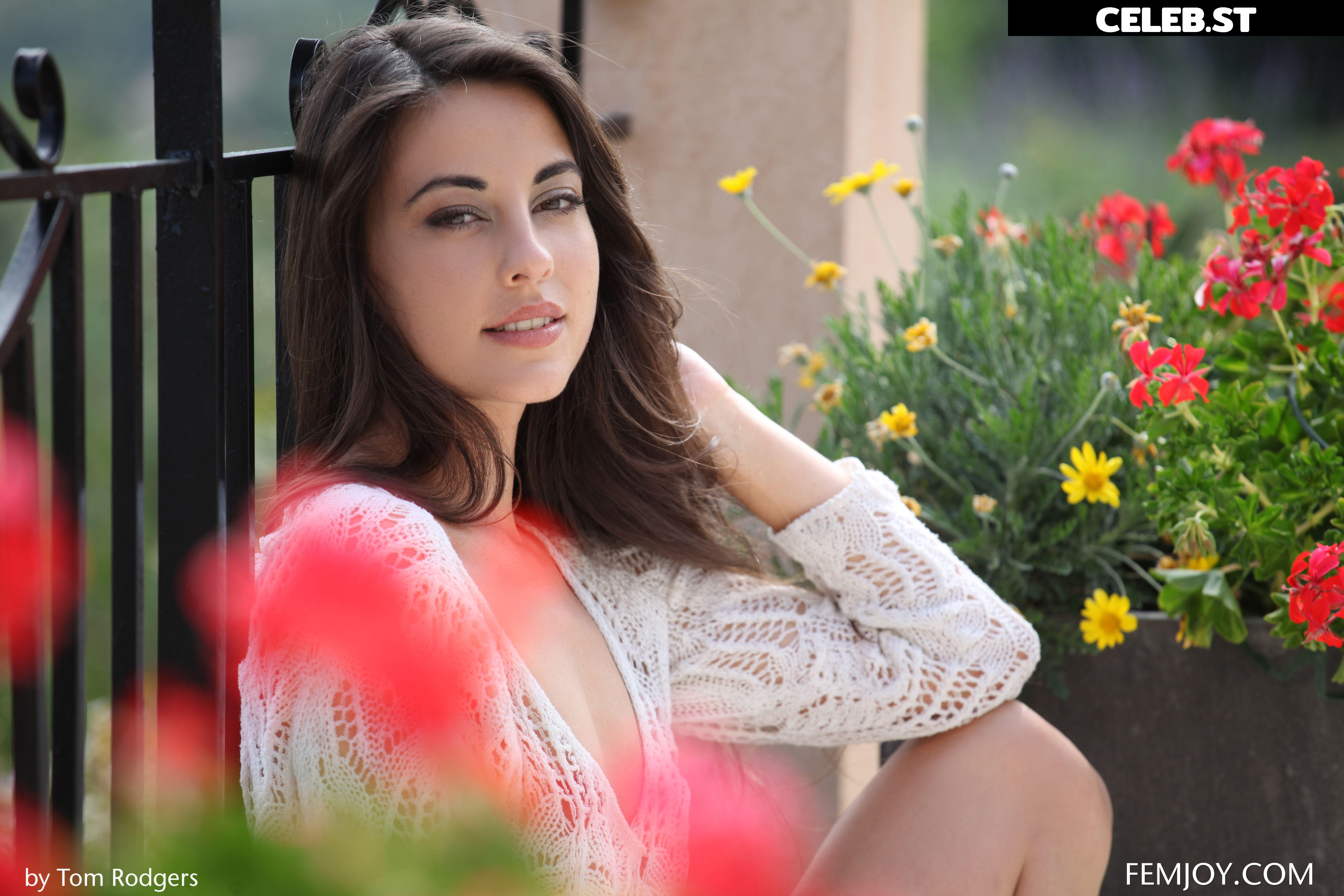 Lorena Image 3296667