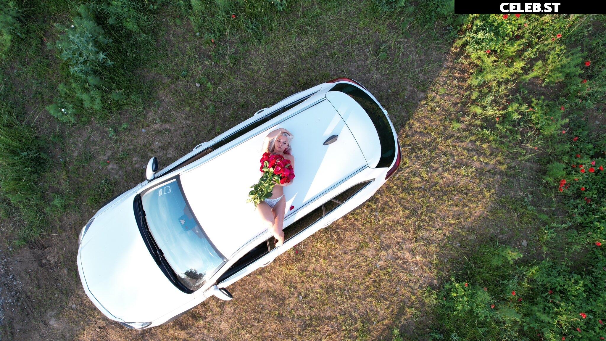 Static_Maus Image 324207