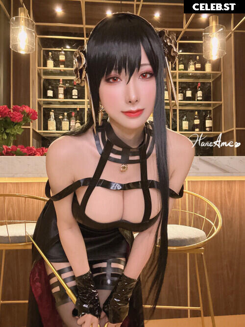 HaneAme Image 323147