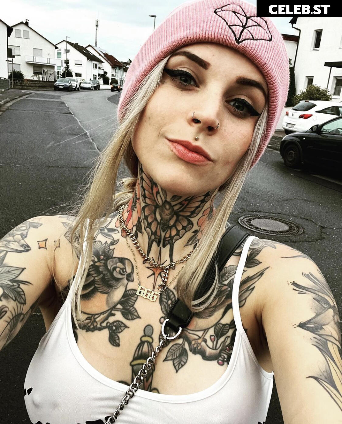 hc_x_owl Image 3398757