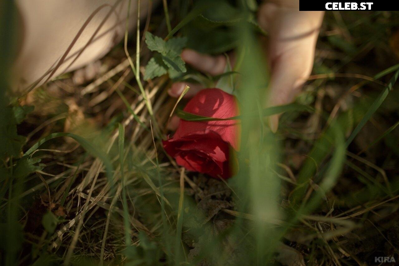 Lada Lyumos Image 3384751