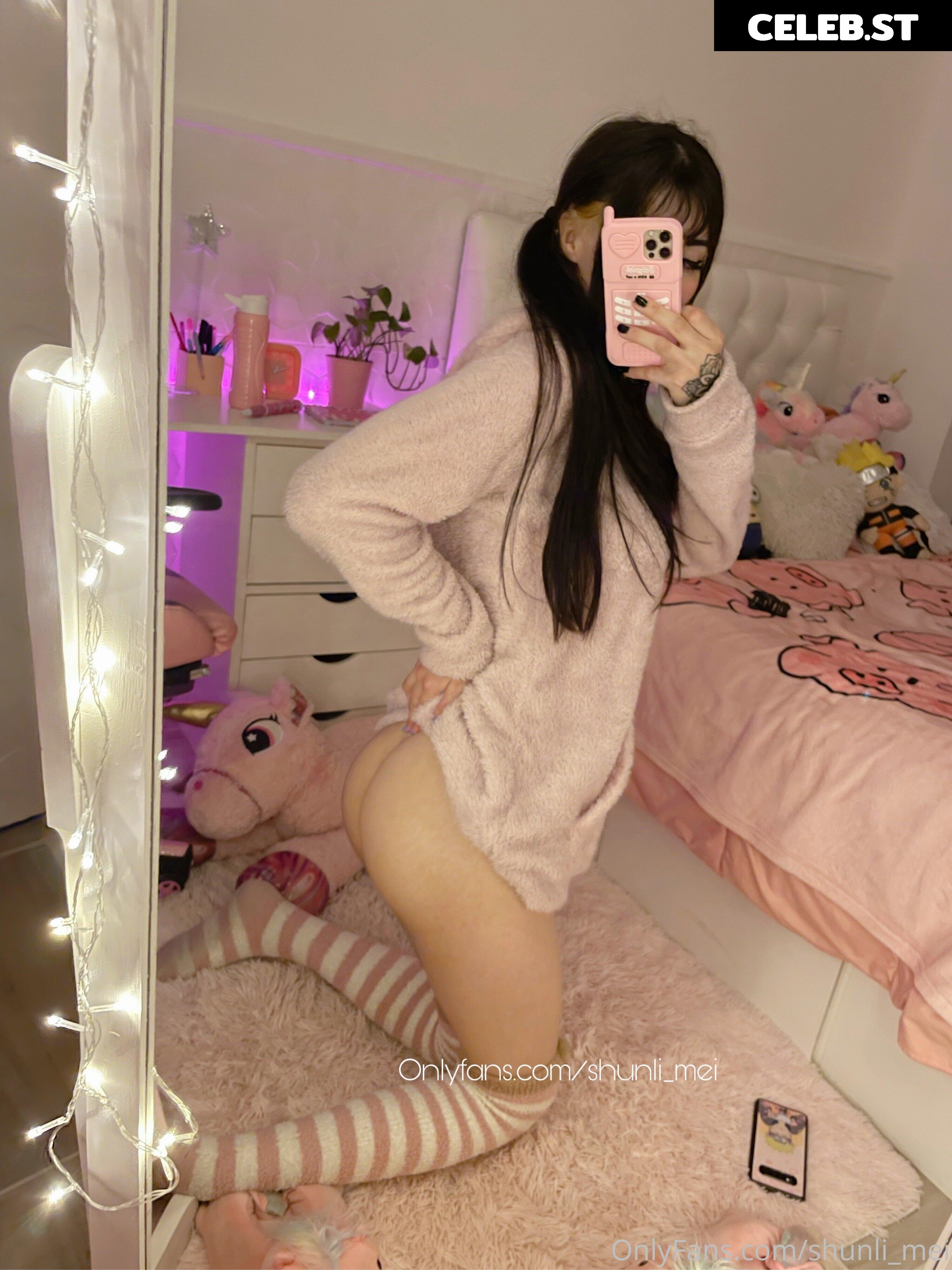 Shunlimei Image 3374730