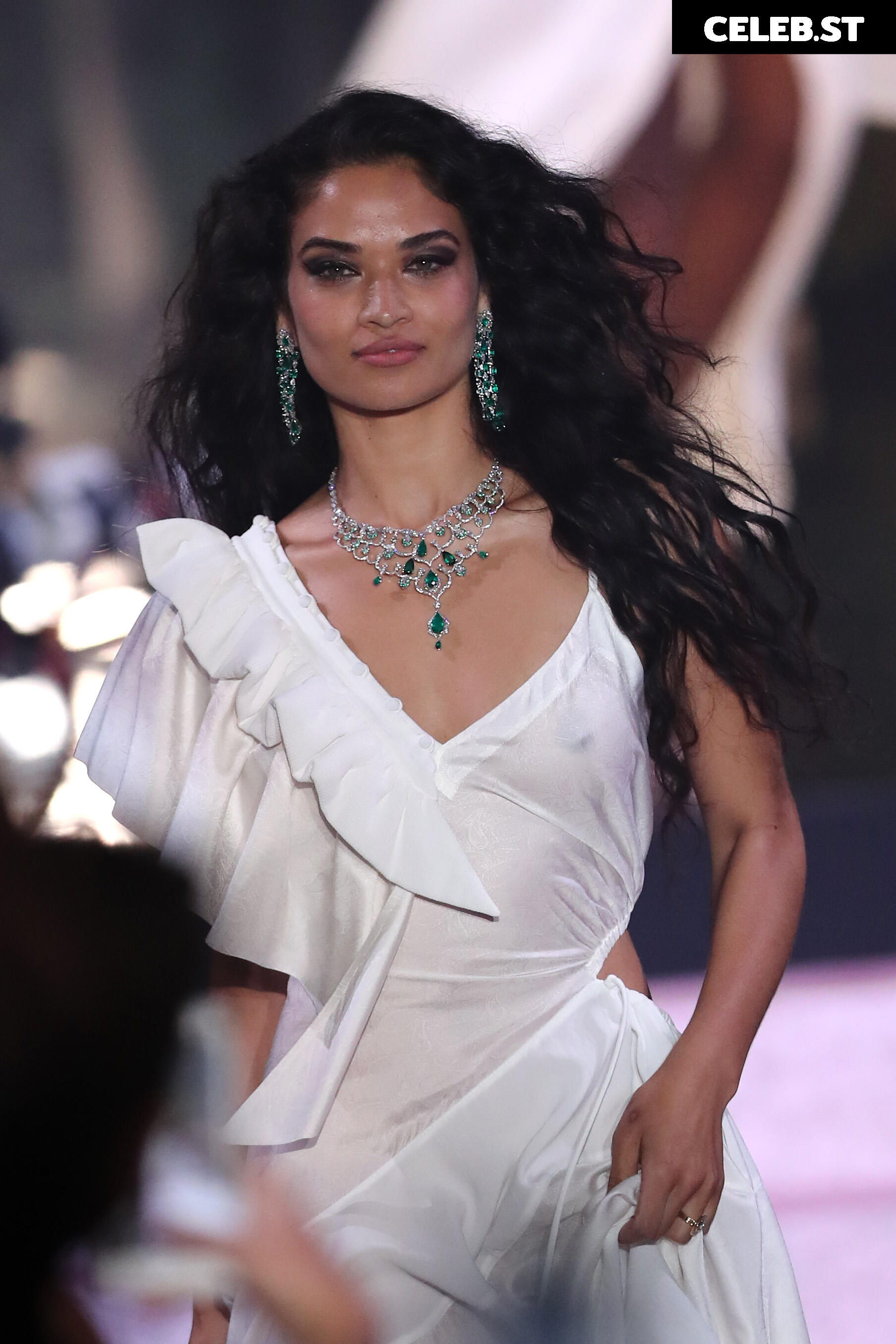 Shanina Shaik Image 3371819