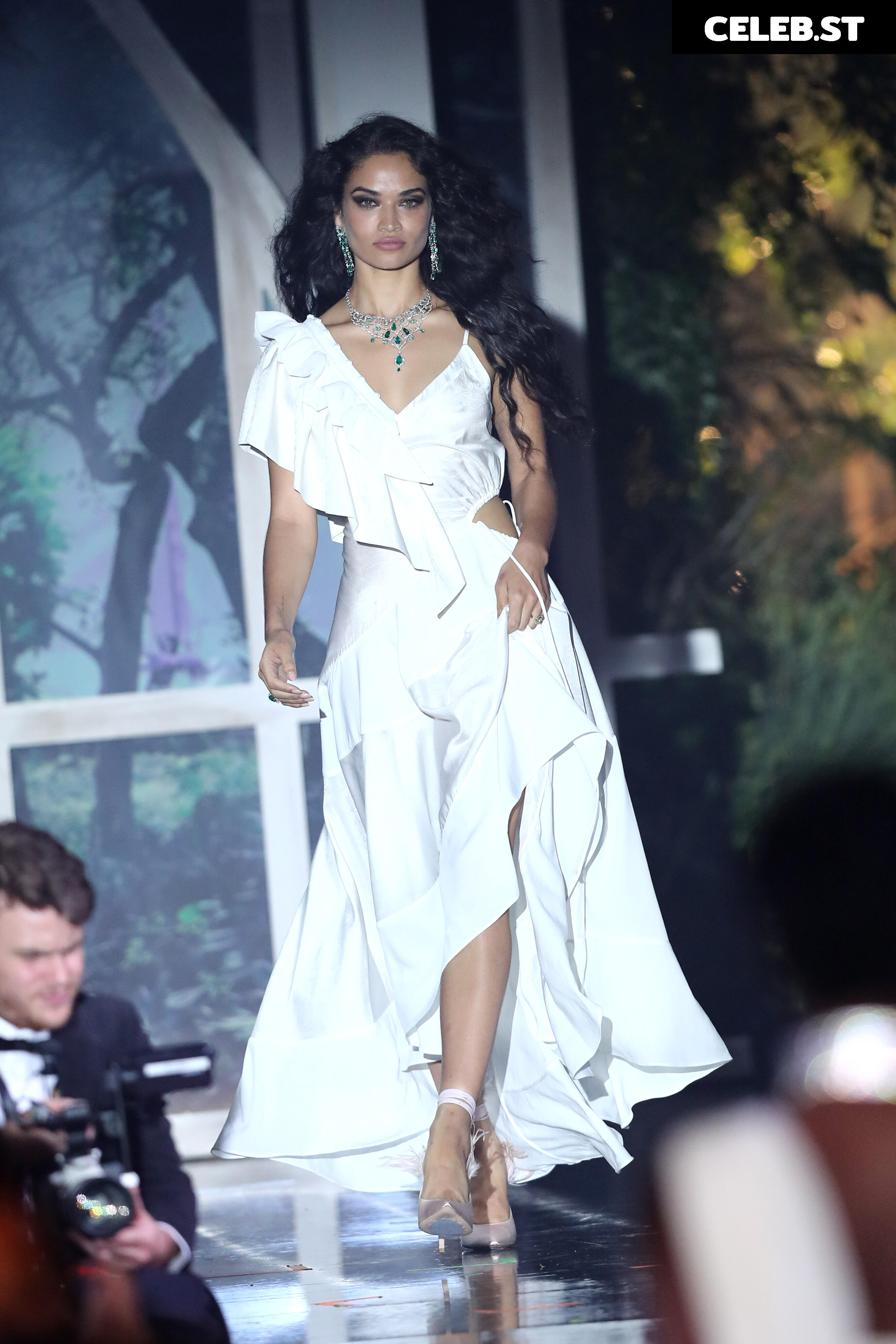 Shanina Shaik Image 3371820