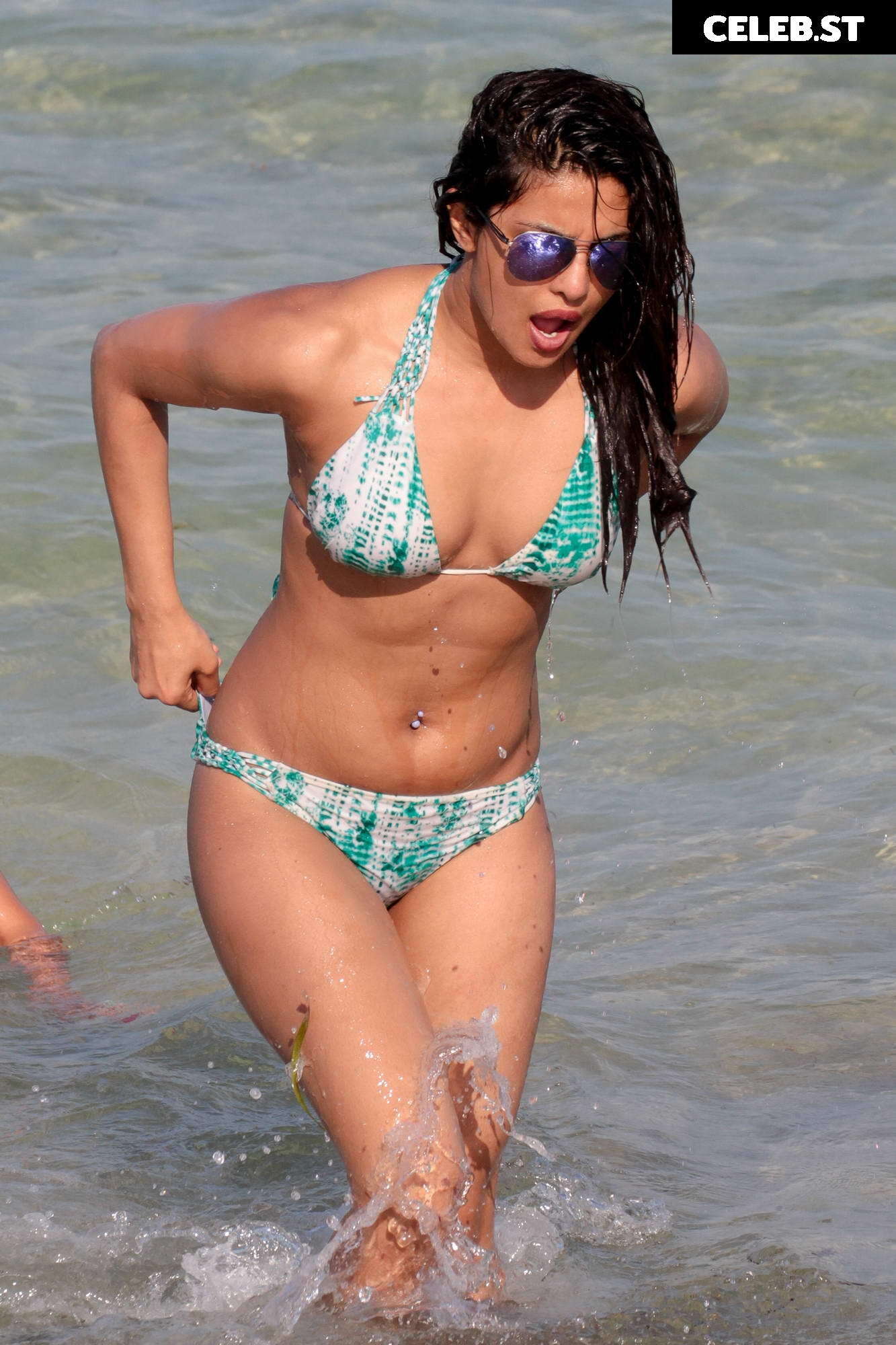 Priyanka Chopra Image 3373673