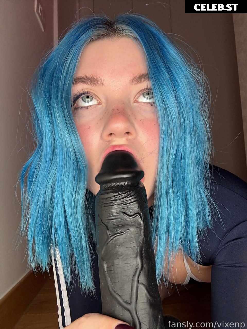 Vixenp Image 3379411