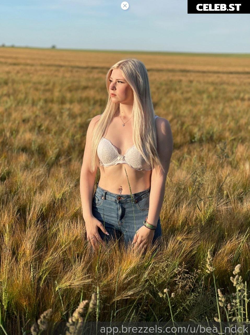 bea.ndck Image 3379913