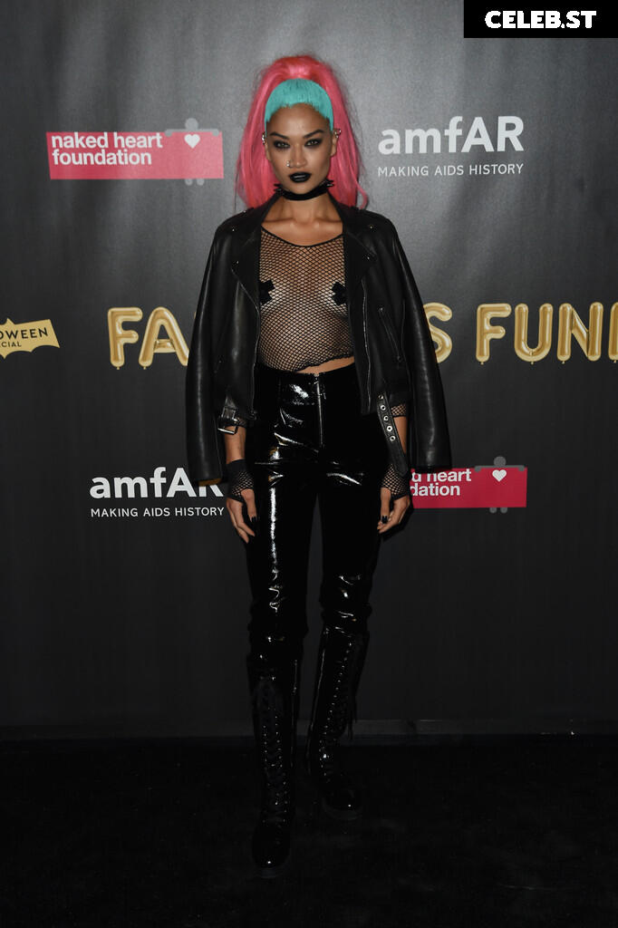 Shanina Shaik Image 3378910