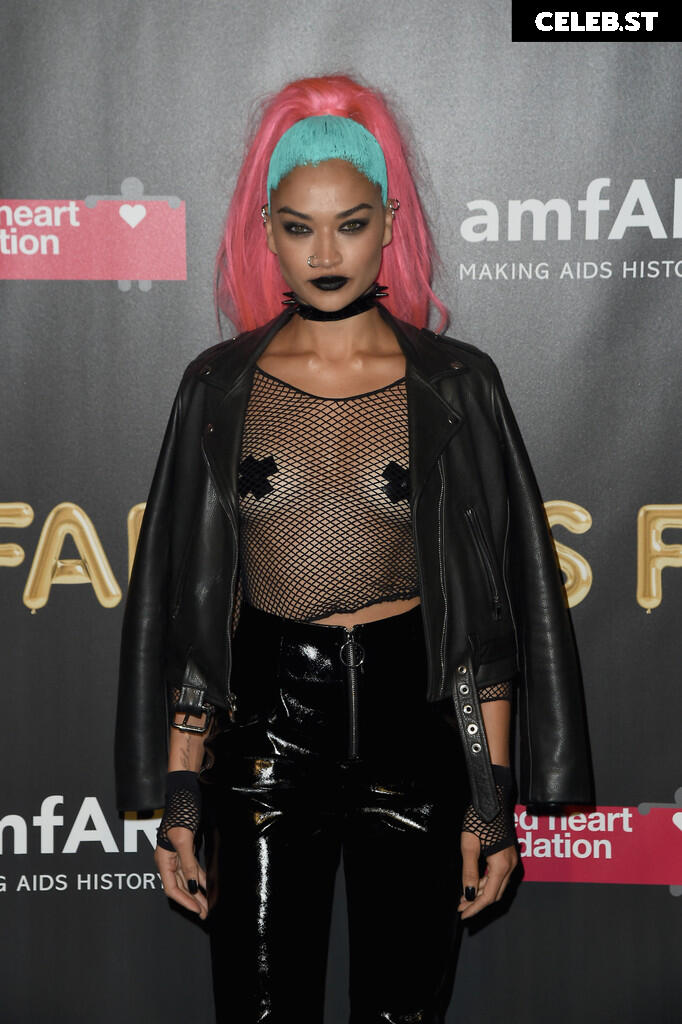 Shanina Shaik Image 3378914