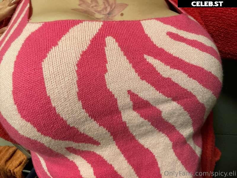 spicyeli Image 332783